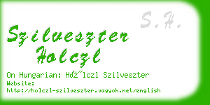 szilveszter holczl business card